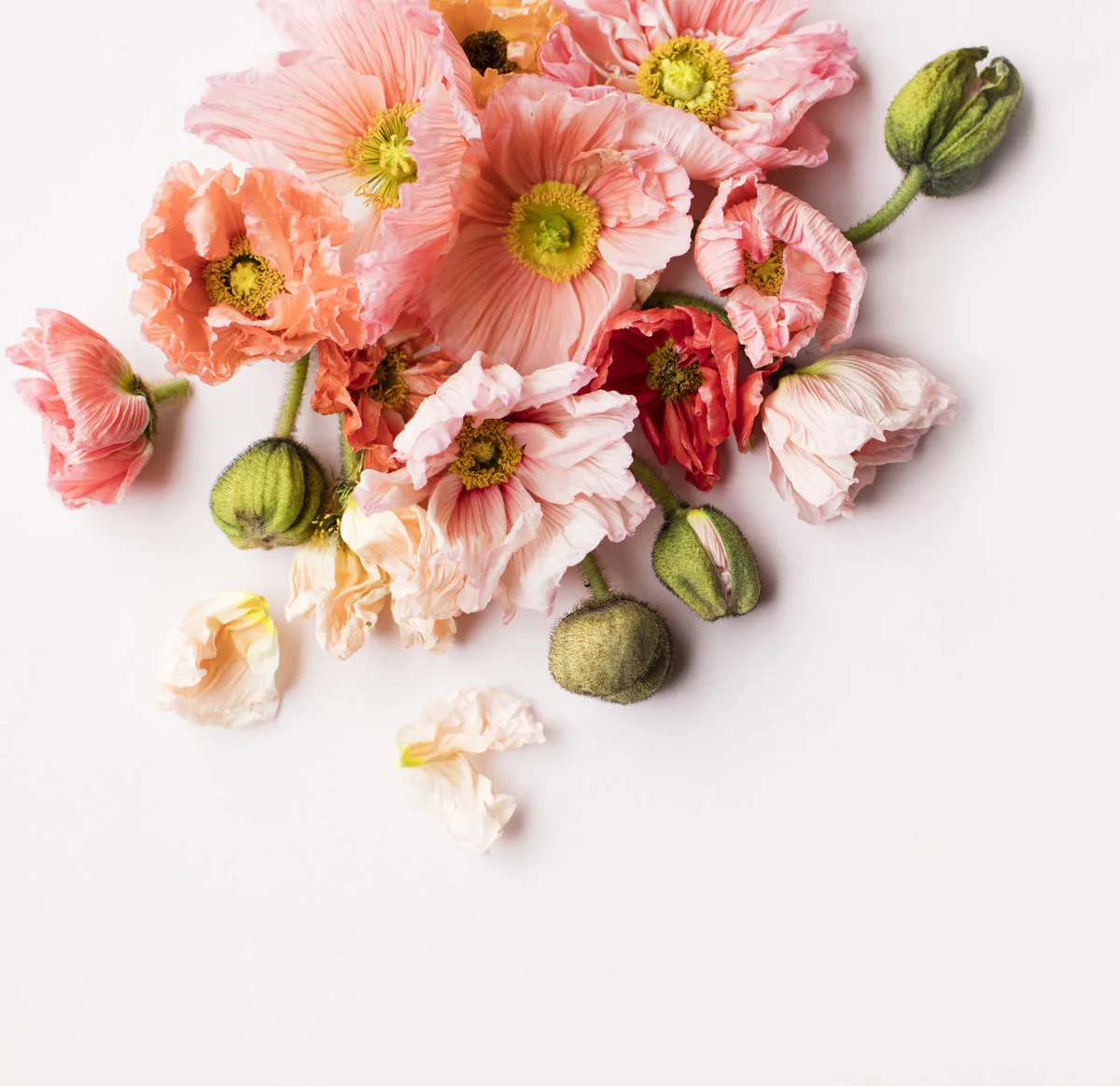 social squares summer happy bright styeld stock image036